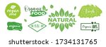 big set of fresh eco organic... | Shutterstock .eps vector #1734131765