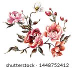 elements of peony flower with... | Shutterstock .eps vector #1448752412