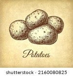 potatoes. ink sketch on old... | Shutterstock .eps vector #2160080825