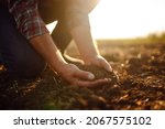 Male Hands Touching Soil On The ...