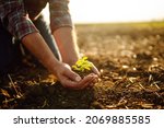 Small photo of Male hands touching soil on the field. Expert hand of farmer checking soil health before growth a seed of vegetable or plant seedling. Business or ecology concept.