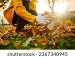 Small photo of Women's hands in a signet collect fallen leaves in an autumn park at sunset. A woman volunteer cleans nature from yellow leaves. Cleaning, ecology concept.