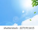 Small photo of A refreshing dappled sunlight and a blue sky background with ultraviolet rays. Leaves dancing in the wind, creating a refreshing image