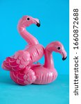 couple of inflatable pink... | Shutterstock . vector #1660872688
