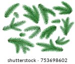 spruce fir tree branches  twigs ... | Shutterstock .eps vector #753698602