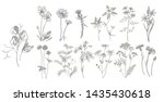 collection of hand drawn... | Shutterstock . vector #1435430618
