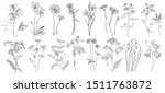 collection of hand drawn... | Shutterstock .eps vector #1511763872