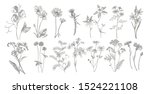 collection of hand drawn... | Shutterstock .eps vector #1524221108