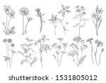 collection of hand drawn... | Shutterstock .eps vector #1531805012