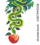 Snake And Apple Fruit. Ink And...