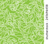 seamless leaf background.... | Shutterstock .eps vector #245696458