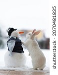 White rabbit and snowman....