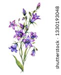 watercolor botanical... | Shutterstock . vector #1330193048