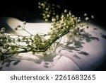 Small photo of A closeup of a dried garland of baby's breath atop a white gauzy fabric, with shadows from a spotlight.