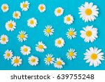 daisies on a blue background.... | Shutterstock . vector #639755248