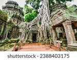 Small photo of Ta Phrom - Iconic 12th century Angkor Khmer Temple with Tree roots intertwined with the temple structure, famous for Tomb Raider movie featuring Angelina Jolie at Siem Reap, Cambodia, Asia