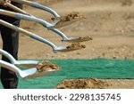 Shovels in the air during a ground breaking ceremony. Shovels filled with dirt.