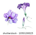 Watercolor Set Of Violet Garden ...