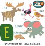 Elephant Alphabet Letter E Free Stock Photo - Public Domain Pictures