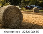 Hay Bales In The Field