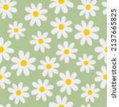 chamomile. florar seamless... | Shutterstock .eps vector #2137665825