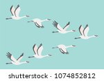 flock of cranes in flying.... | Shutterstock .eps vector #1074852812