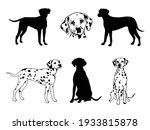 set of dalmatian. collection of ... | Shutterstock .eps vector #1933815878
