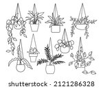 Set Of Plants In Pots....
