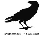 The Black Silhouette Of A Crow. ...