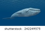 Blue Whale Computer Generated...