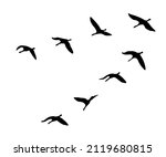 flying birds illustration ... | Shutterstock .eps vector #2119680815