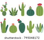 Cactus Collections Set
