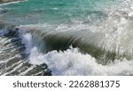 Small photo of An unbridled wave frolics in the sunlight.