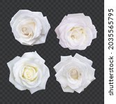 set of white roses  realistic... | Shutterstock .eps vector #2035565795