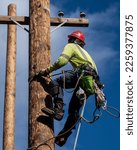 Small photo of Lineman ascending utility pole with pole climbers