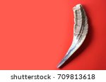 Yom kippur.Top view of shofar (horn) on red background.Prayer Shawl - Shofar (horn) jewish religious symbol.Faith Tradition and Religion concept.