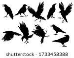 Set Of Black Silhouette Raven...