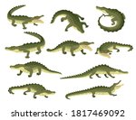 Set Of Green Crocodile...