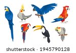 Set Of Exotic Parrot Birds...