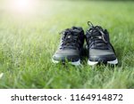 Pair of man sport shoes on green grass field
