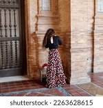 Small photo of Flamenco dancer from behind eith fashionable dress
