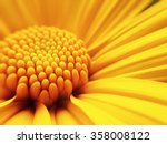 Macro Shot Yellow Flower...
