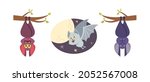 set cute bats  vampire comic... | Shutterstock .eps vector #2052567008