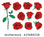 Red Roses Hand Drawn Color Set. ...