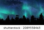 Aurora Northern Lights Trees...