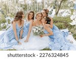 The bridesmaids are in blue dresses, the bride is holding a beautiful bouquet. Sitting enjoying the celebration. Beautiful luxury wedding blog concept. Spring wedding.