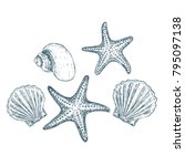 Shells And Starfish On White...
