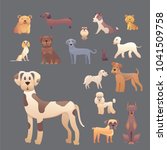 group of purebred dogs.... | Shutterstock . vector #1041509758