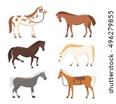 Cute Horses In Various Poses...