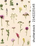 Small photo of Natural summer wildflowers, meadow herbs and field bloom plants, green grass, small wild blossom, forest thistle flower, fern on pale pink paper background. Flowery pattern, top view, floral layout.